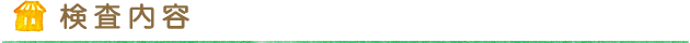 検査内容