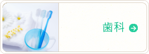 歯科